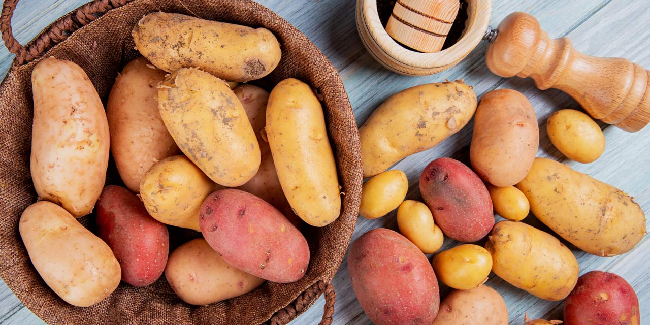 Tipos de batatas: um mundo de opções na sua cozinha - Gastronomia.com.br